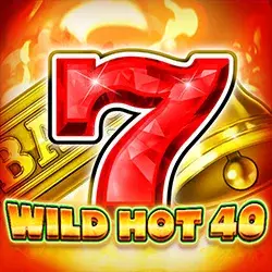Visuel du slot Wild Hot 40